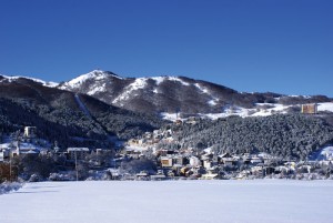 SONY DSC