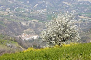 bisenti abruzzo bisenti abruzzo