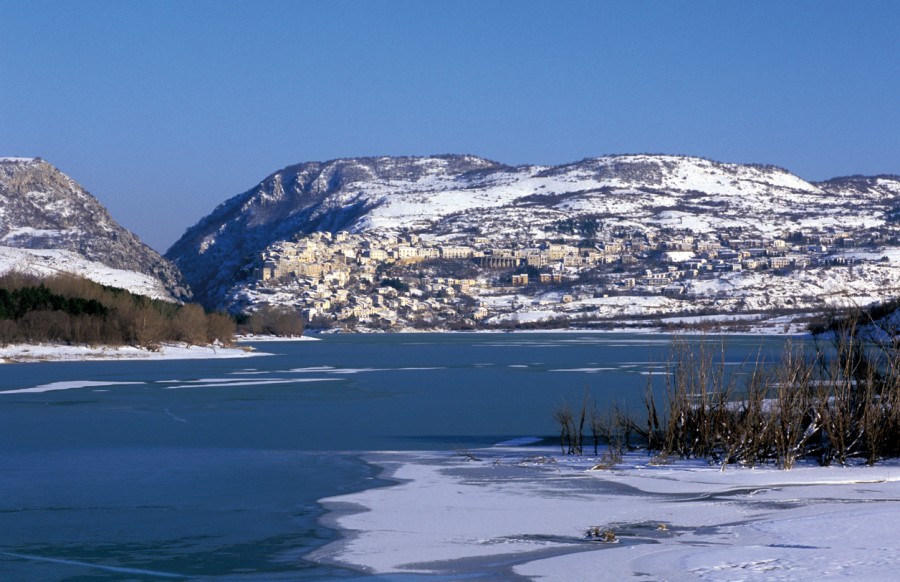 barrea