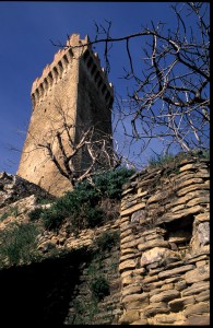 torre moltegualtieri