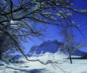 Foto di Maurizio Anselmi