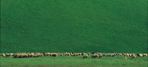 foto di Gino Di Paolo