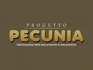 logoPecunia