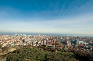 21.Monte