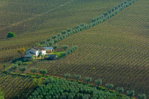 Foto di Maurizio Anselmi