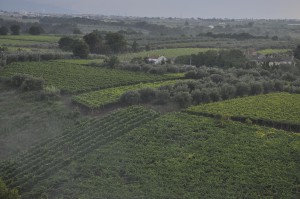 vigna_orizzontale