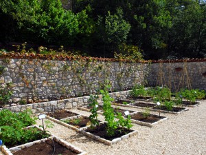 Aiuole dell'Orto Botanico