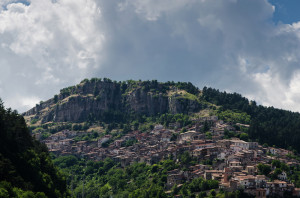 tagliacozzo-petrini