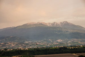 cepagatti-petrini