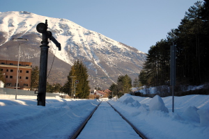 campodigiove
