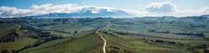 CITRA - Vigneti pendici Majella
