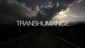 trans