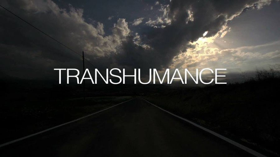 trans