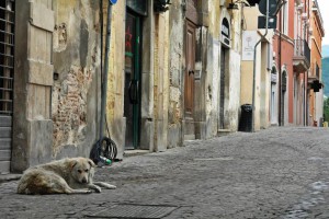 L'Aquila ottobre 2015 Corso