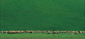 Foto di Gino di Paolo