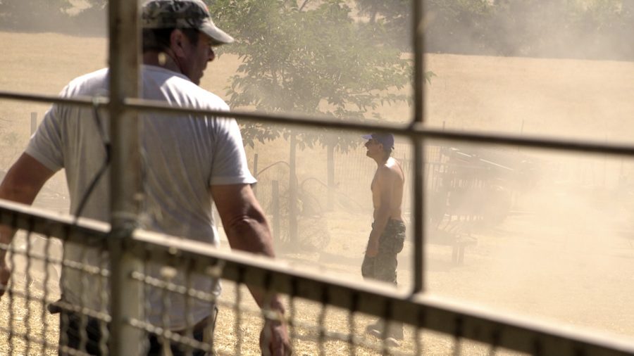 Una scena di "Lorello e Brunello" (ph. Vivo Film)