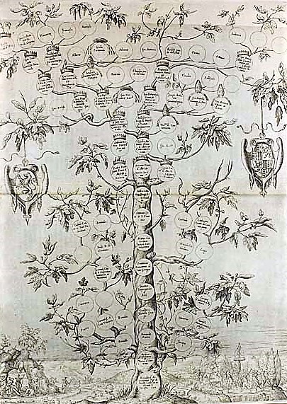 albero genealogico Acquaviva