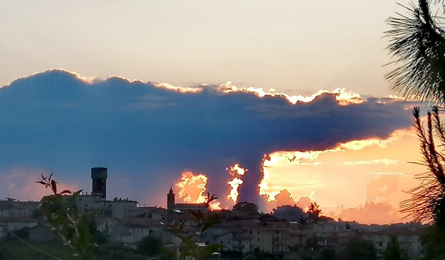 Autore: Palma Bruno