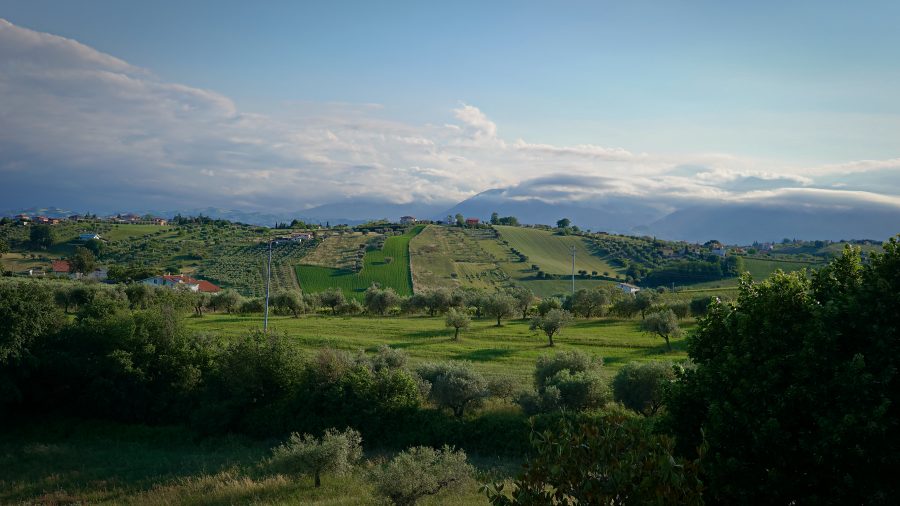 Autrice: Bruni Benedetta. Titolo: Deaming Hills. Mese: ottobre