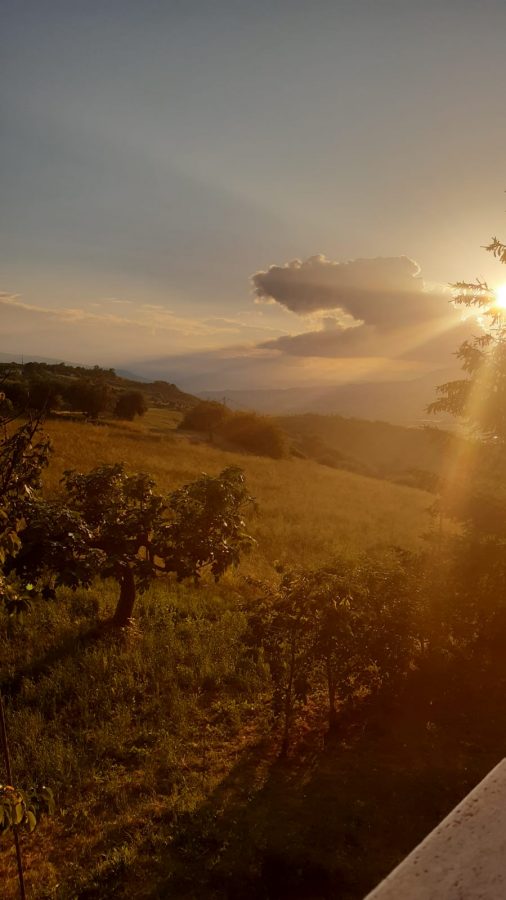 Autrice: Macci Cristina