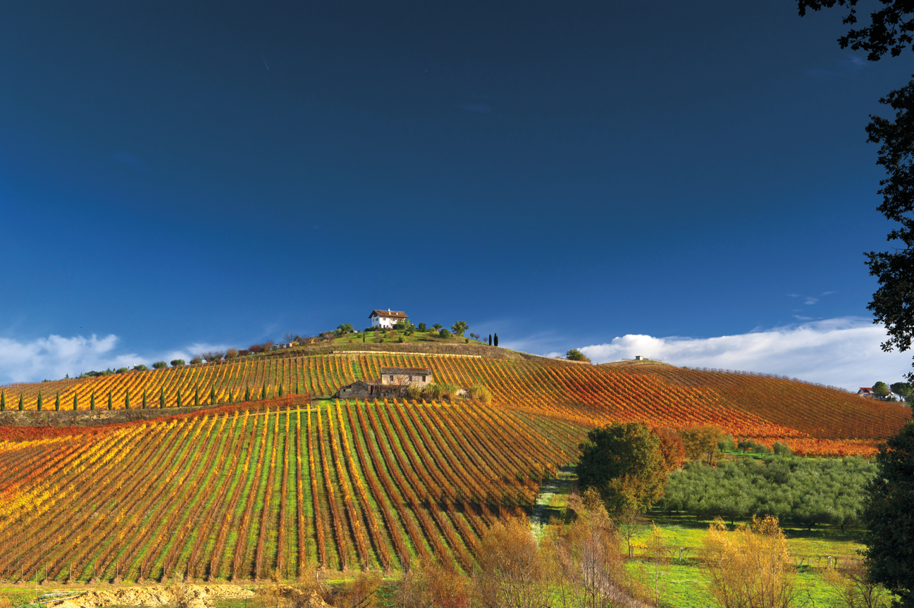 Agricoltura bene comune