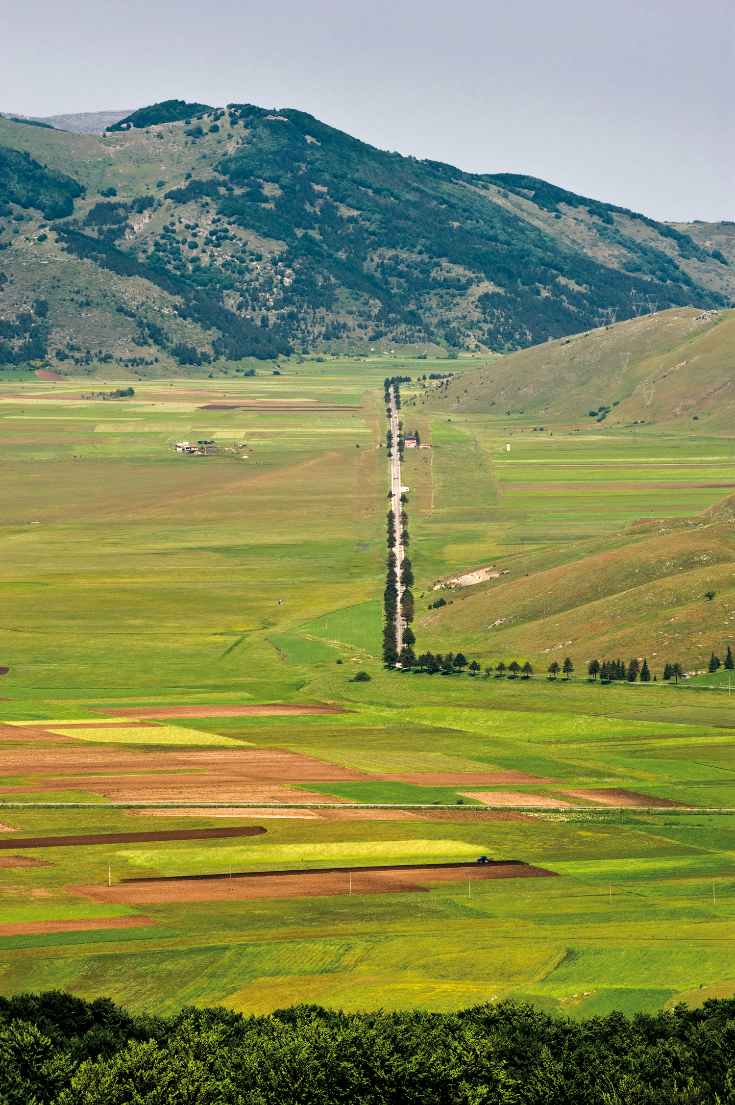 I NUCLEI CINOFILI ANTIVELENO DEL PARCO GRAN SASSO LAGA IN AZIONE NEL PARCO D’ABRUZZO