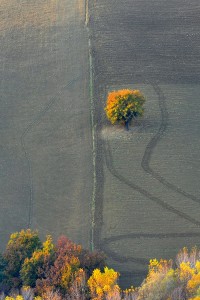 Veduta di campagna abruzzese (foto di Roberto Cilli)