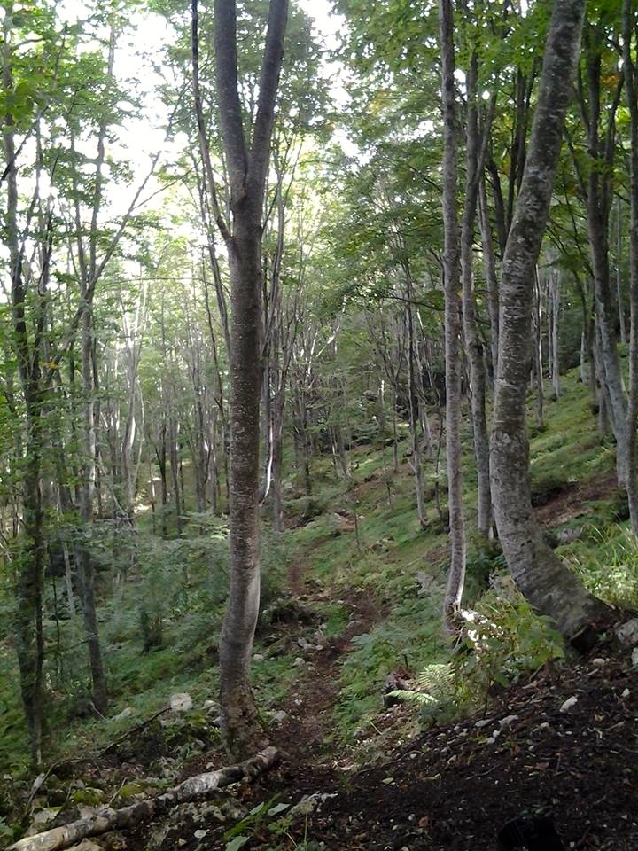 Apre Abruzzo Gravity,  il primo Trail center d’Abruzzo