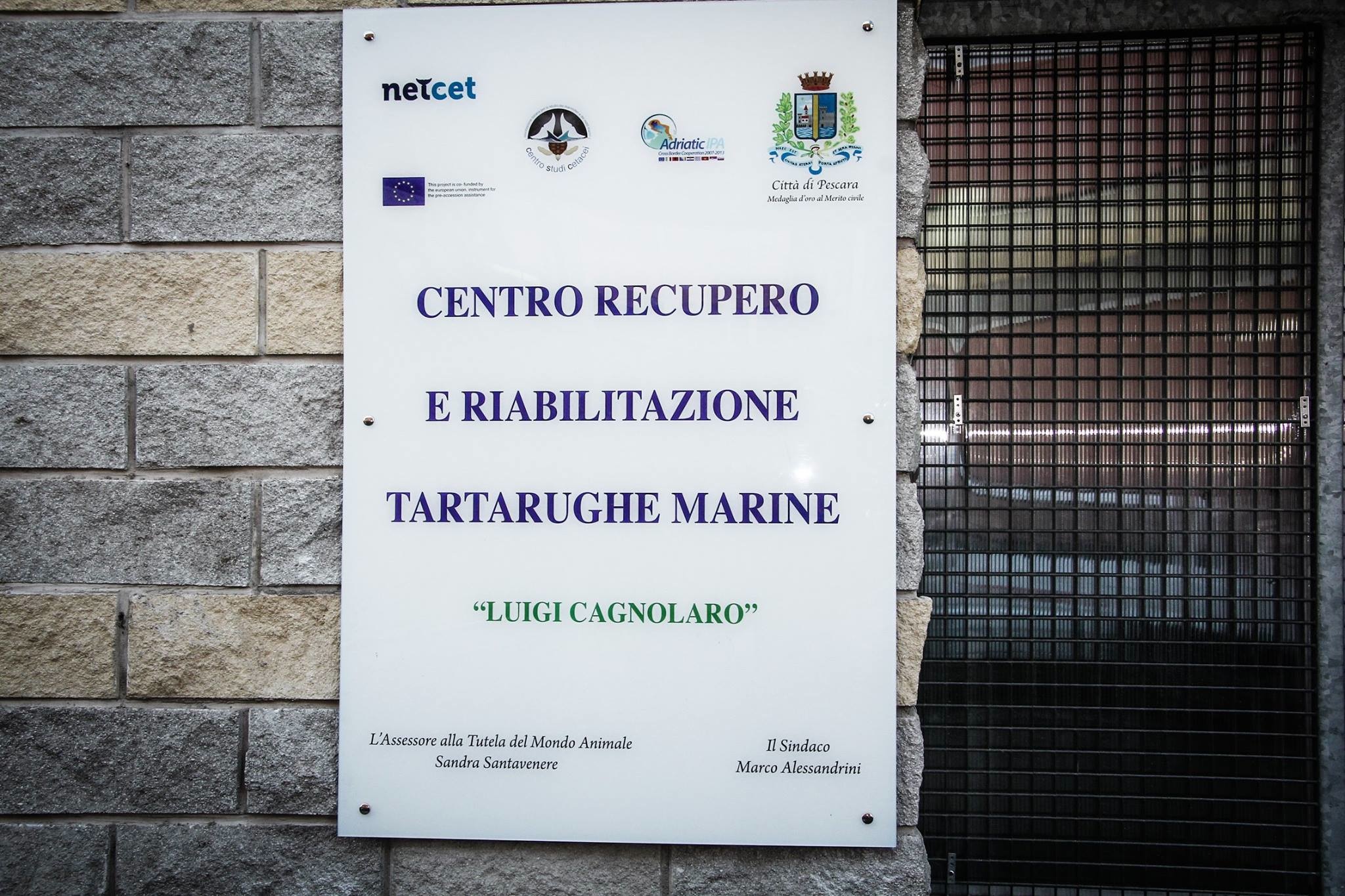 A Pescara il primo centro d’Abruzzo per il Recupero delle tartarughe marine