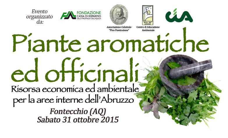 Alla scoperta delle piante aromatiche ed officinali
