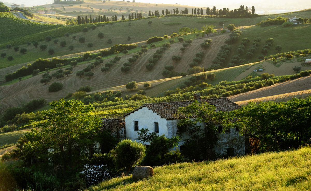 “Colline teramane”, vino d’eccellenza