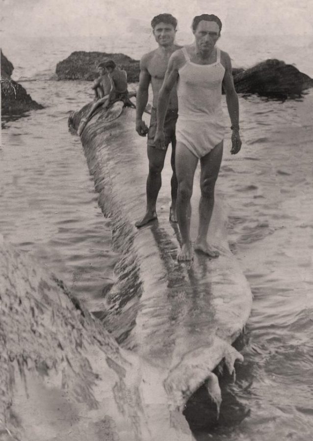 Ettore Verì e Cesare Annecchini sul corpo della balena (foto per gentile concessione di Rinaldo e Pietro Verì)