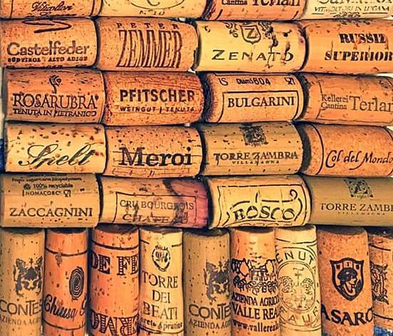 Pranzo in cantina per la ripartenza dell’Onav di Teramo
