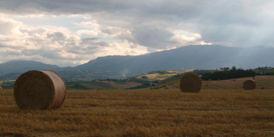 Paesaggio rurale (ph. Ivan Masciovecchio)