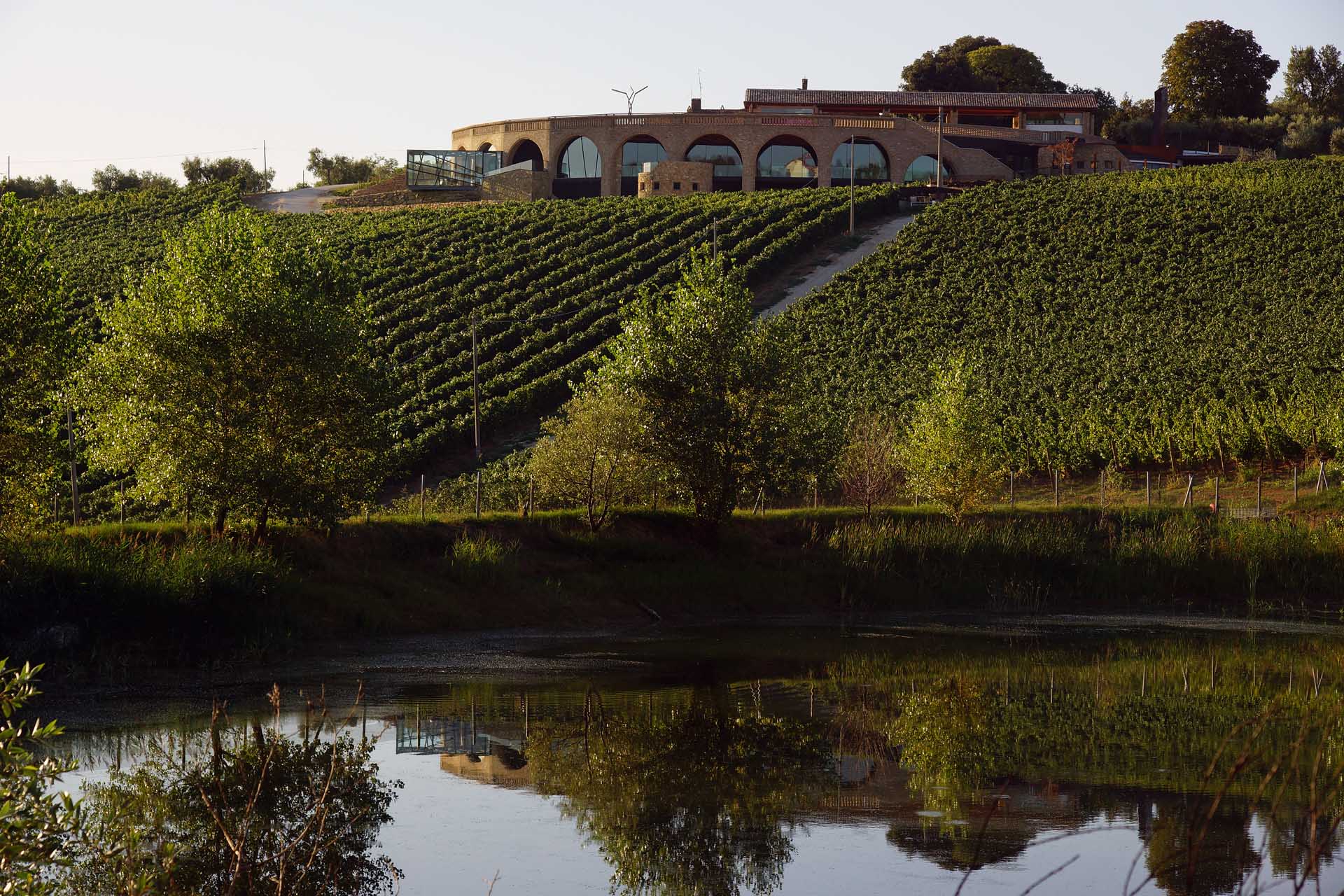 Only Wine Festival, l’azienda Di Sipio premiata a Città di Castello