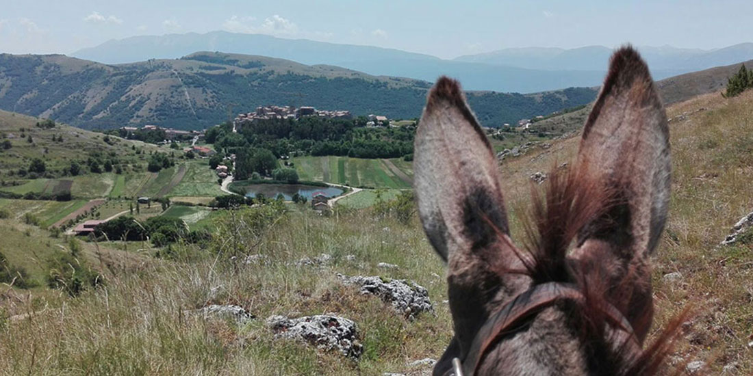 A passo d’asino tra campi di lenticchie con Slow Food L’Aquila