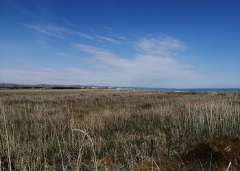 Progetto South Beach, in arrivo una colata di cemento al confine tra Abruzzo e Molise
