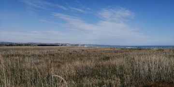 Progetto South Beach, in arrivo una colata di cemento al confine tra Abruzzo e Molise