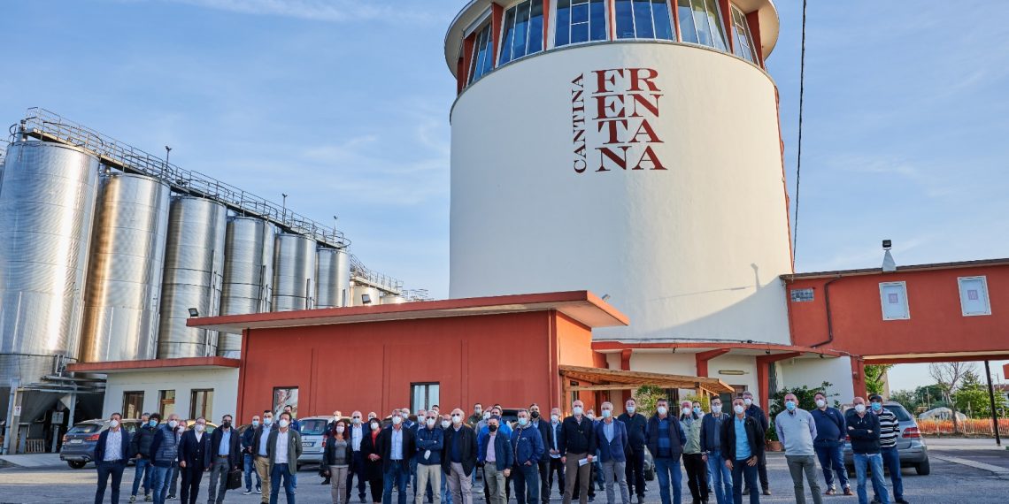 Cooperazione vinicola in Abruzzo, fusione straordinaria per le cantine Frentana e Sangro