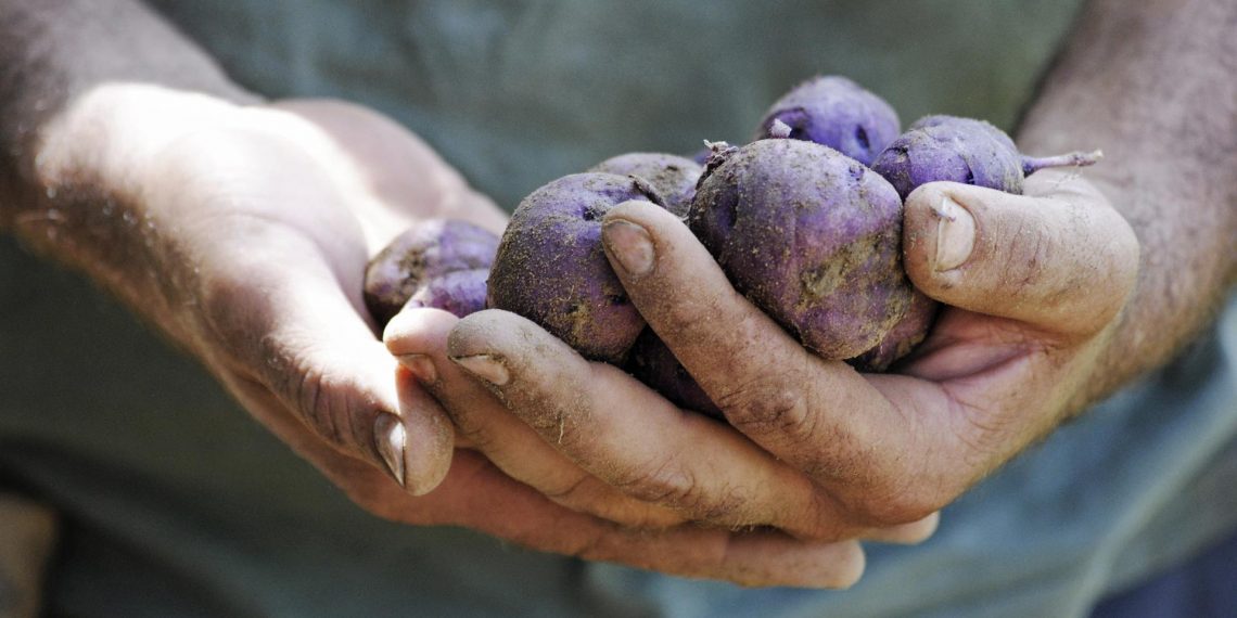 Giornata mondiale della biodiversità, il documento di Slow Food Italia