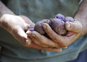 Giornata mondiale della biodiversità, il documento di Slow Food Italia