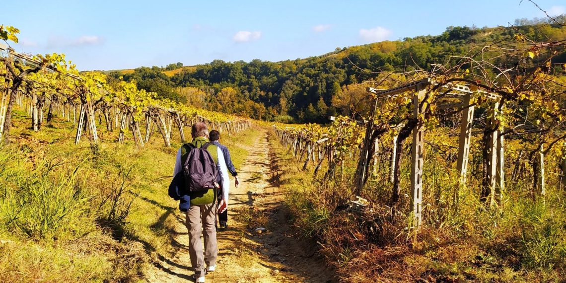 Vini e Cammini 2021, in marcia tra i vigneti d’Abruzzo