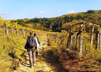 Vini e Cammini 2021, in marcia tra i vigneti d’Abruzzo