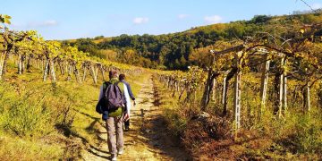 Vini e Cammini 2021, in marcia tra i vigneti d’Abruzzo