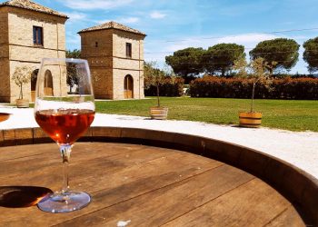 Cantine Aperte fa il bis, nuovo appuntamento il 19 e 20 giugno. E per gli amanti dell’olio arriva Evo Abruzzo
