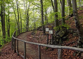 Salvatica 2021, escursioni narrate nel Parco nazionale della Maiella