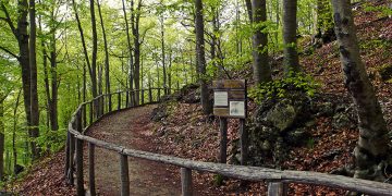 Salvatica 2021, escursioni narrate nel Parco nazionale della Maiella