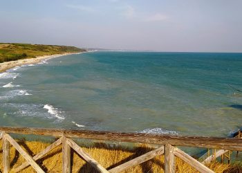 Siren Festival 2021, ad agosto Vasto torna a suonare rock