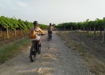 Frentana Bike, dalle colline all’Adriatico pedalando tra vigneti e trabocchi d’Abruzzo