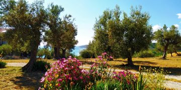 In cammino da Ortona a San Vito Chietino per dire NO al cemento sulla Costa dei Trabocchi